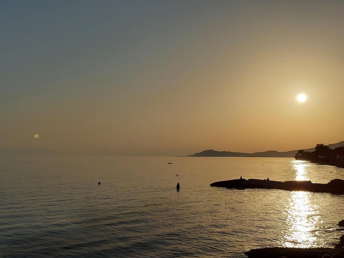 Aparthotel Pansion Alexandros By The Sea Nea Skioni Zewnętrze zdjęcie