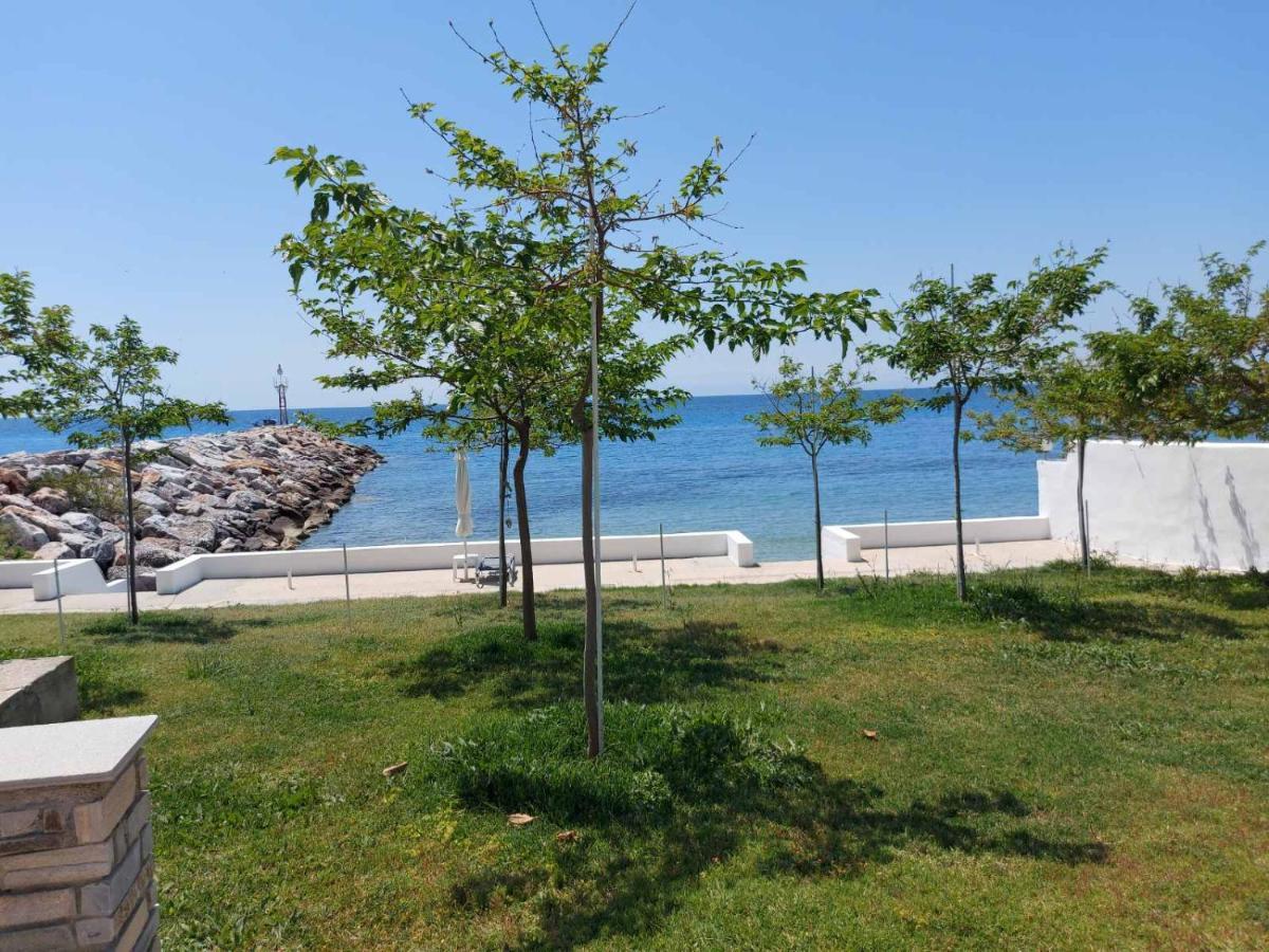 Aparthotel Pansion Alexandros By The Sea Nea Skioni Zewnętrze zdjęcie