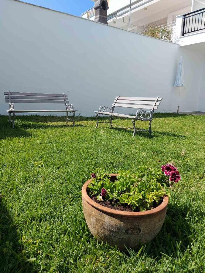 Aparthotel Pansion Alexandros By The Sea Nea Skioni Zewnętrze zdjęcie